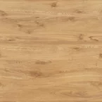 DIY5010-Shanghai