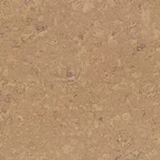 Personality-Champagne-P805002