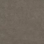 s67485-cc62485-taupe-sand